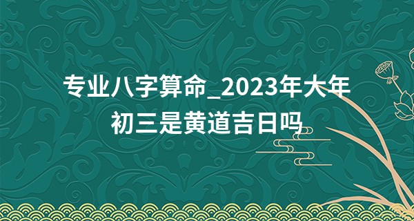专业八字算命_2023年大年初三是黄道吉日吗 今天有什么习俗