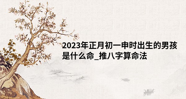 2023年正月初一申时出生的男孩是什么命_推八字算命法