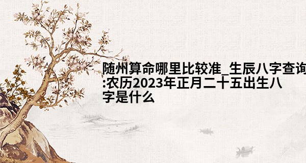 随州算命哪里比较准_生辰八字查询:农历2023年正月二十五出生八字是什么