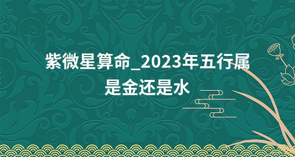 紫微星算命_2023年五行属是金还是水 今年运势怎么样