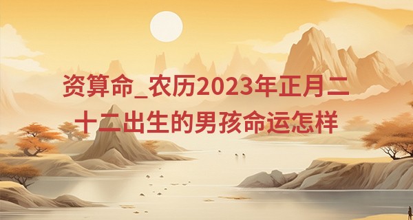 资算命_农历2023年正月二十二出生的男孩命运怎样,五行缺什么