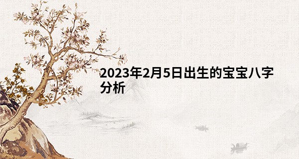 2023年2月5日出生的宝宝八字分析 身坐死地则一生劳苦奔波_算命如何算姓名