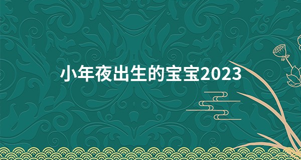 小年夜出生的宝宝2023 小年前一天是什么星座_有事求签算算命