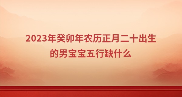 2023年癸卯年农历正月二十出生的男宝宝五行缺什么,命运如何_算命准的道长微信