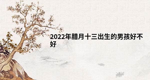 2022年腊月十三出生的男孩好不好 命运怎么样_非常运势免费算命网
