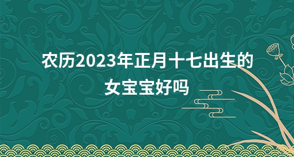 农历2023年正月十七出生的女宝宝好吗,五行旺缺查询_雅虎紫薇算命