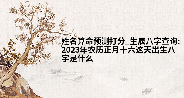 姓名算命预测打分_生辰八字查询:2023年农历正月十六这天出生八字是什么