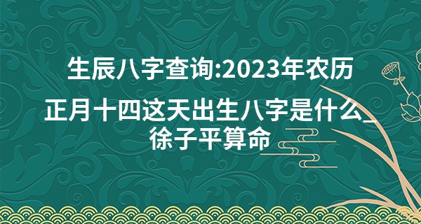 生辰八字查询:2023年农历正月十四这天出生八字是什么_徐子平算命