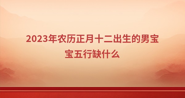 2023年农历正月十二出生的男宝宝五行缺什么,命运如何_随州算命准的是哪里