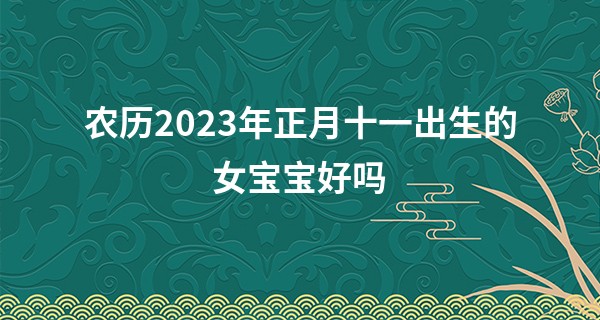 农历2023年正月十一出生的女宝宝好吗,五行旺缺查询_最准的八字算命起名