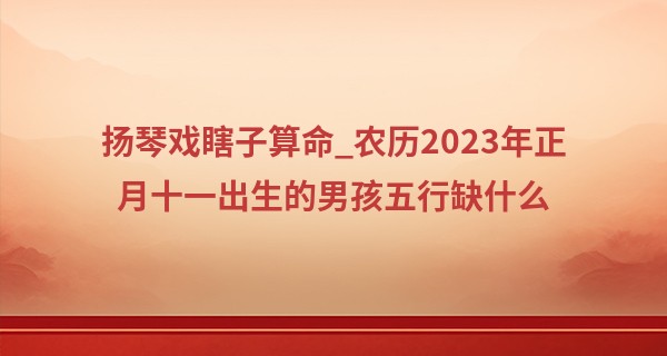 扬琴戏瞎子算命_农历2023年正月十一出生的男孩五行缺什么,命好不好