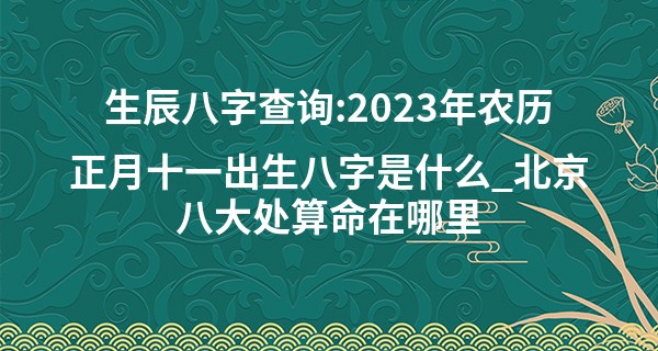 生辰八字查询:2023年农历正月十一出生八字是什么_北京八大处算命在哪里