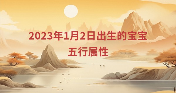 2023年1月2日出生的宝宝五行属性 此日的十二时辰与五行分析_手上的指纹会能算命吗