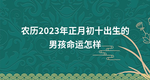 农历2023年正月初十出生的男孩命运怎样,五行缺什么_衡阳算命最灵验的地方