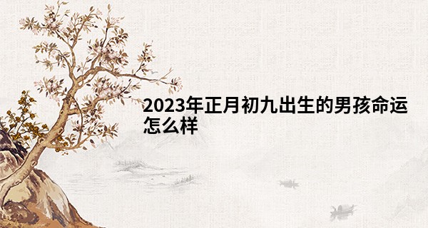 2023年正月初九出生的男孩命运怎么样 大年初九出生大器晚成_南昌上海路哪有算命的