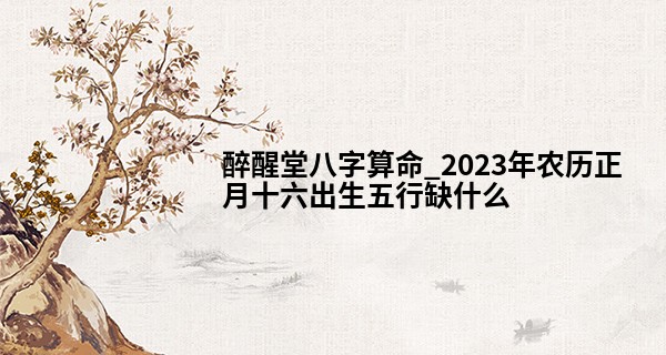 醉醒堂八字算命_2023年农历正月十六出生五行缺什么,这天的孩子命好吗