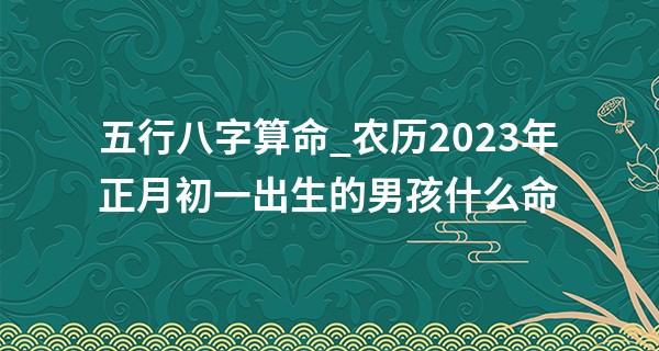 五行八字算命_农历2023年正月初一出生的男孩什么命,五行缺哪个
