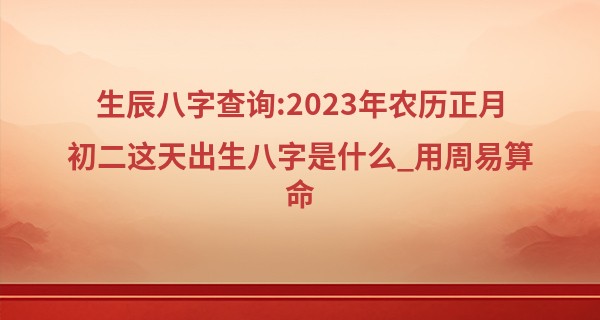 生辰八字查询:2023年农历正月初二这天出生八字是什么_用周易算命