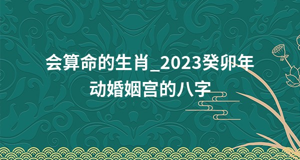 会算命的生肖_2023癸卯年动婚姻宫的八字 2023年必喜结良缘的日柱