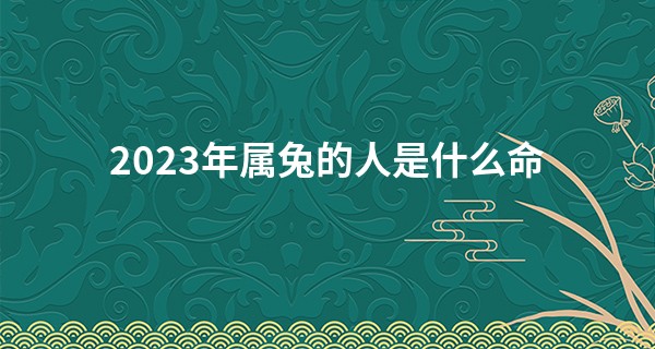 2023年属兔的人是什么命 能力出众才华横溢易有成就_永州算命最准的是谁