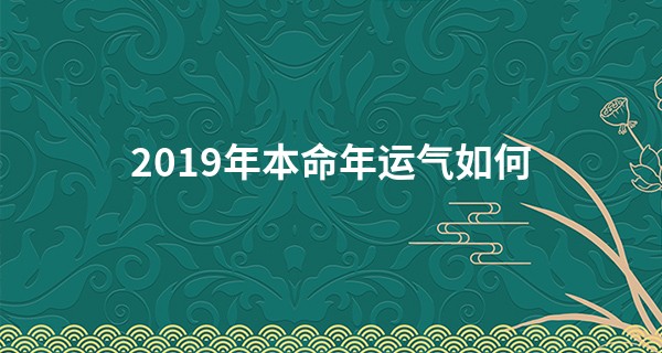 2019年本命年运气如何 运势稳定无需惊慌_周易九五算命网