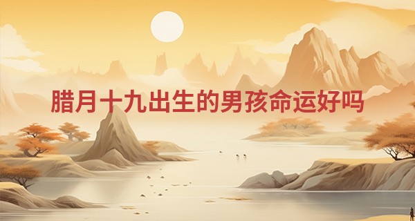 腊月十九出生的男孩命运好吗