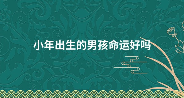 小年出生的男孩命运好吗