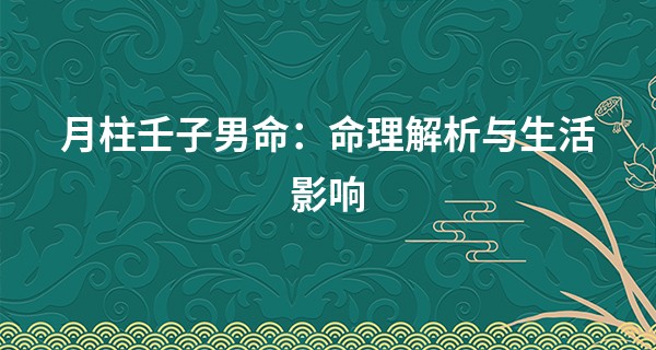 月柱壬子男命:命理解析与生活影响