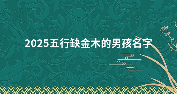 2025五行缺金木的男孩名字,男宝缺金缺木霸气名