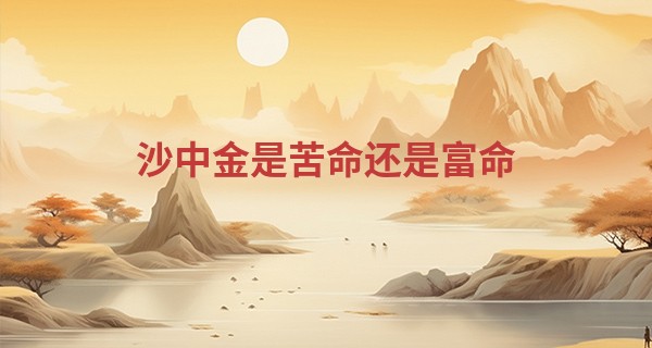 沙中金是苦命还是富命