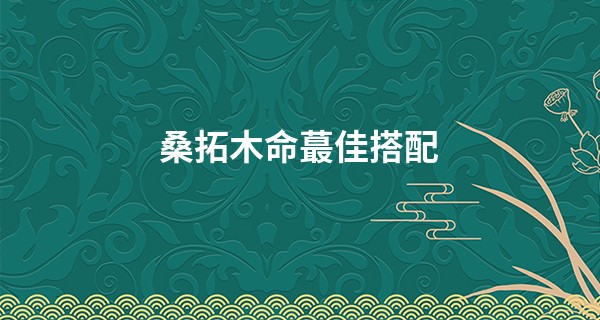 桑拓木命最佳搭配