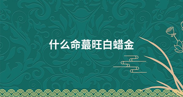 什么命最旺白蜡金