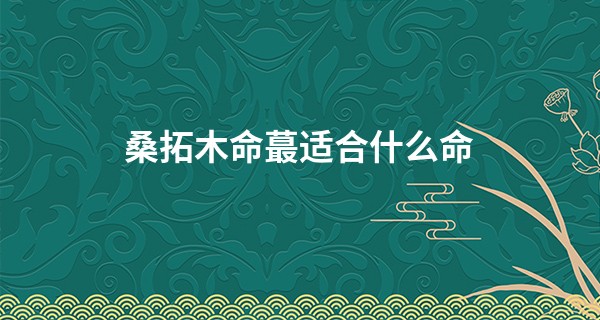 桑拓木命最适合什么命
