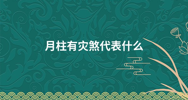 月柱有灾煞代表什么,灾煞在什么柱最凶