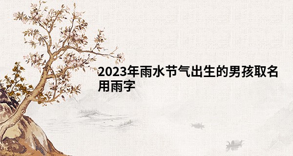 2023年雨水节气出生的男孩取名用雨字