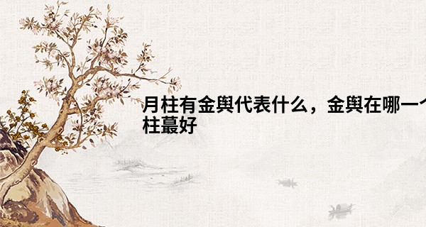 月柱有金舆代表什么，金舆在哪一个柱最好