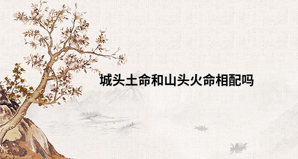 城头土命和山头火命相配吗