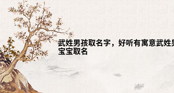 武姓男孩取名字,好听有寓意武姓男宝宝取名