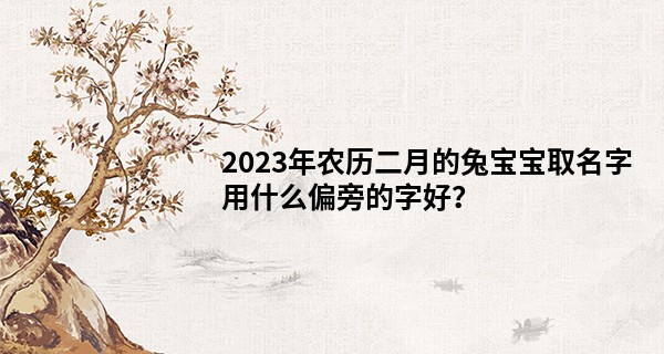 2023年农历二月的兔宝宝取名字用什么偏旁的字好？