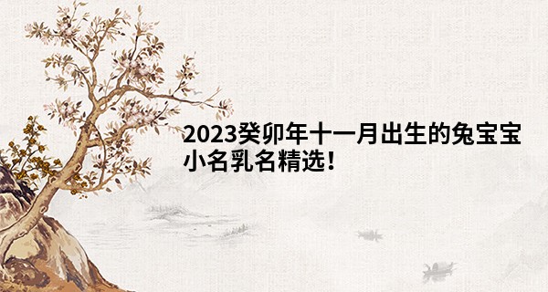 2023癸卯年十一月出生的兔宝宝小名乳名精选！