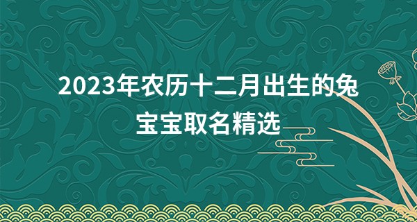 2023年农历十二月出生的兔宝宝取名精选