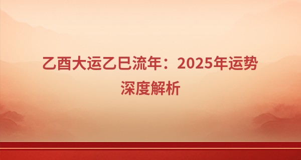 乙酉大运乙巳流年：2025年运势深度解析