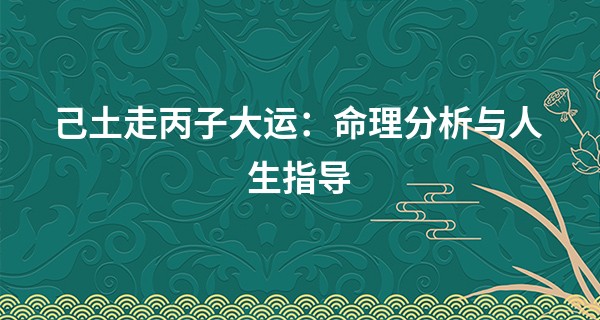己土走丙子大运：命理分析与人生指导