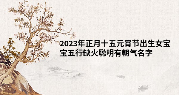 2023年正月十五元宵节出生女宝宝五行缺火聪明有朝气名字