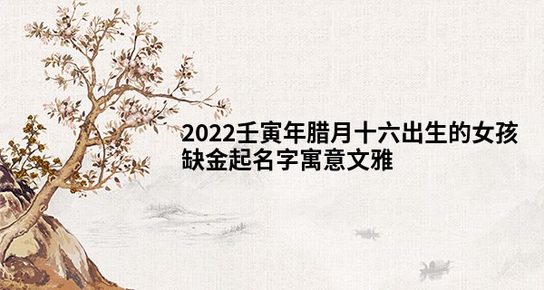 2022壬寅年腊月十六出生的女孩缺金起名字寓意文雅