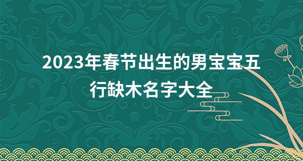 2023年春节出生的男宝宝五行缺木名字大全