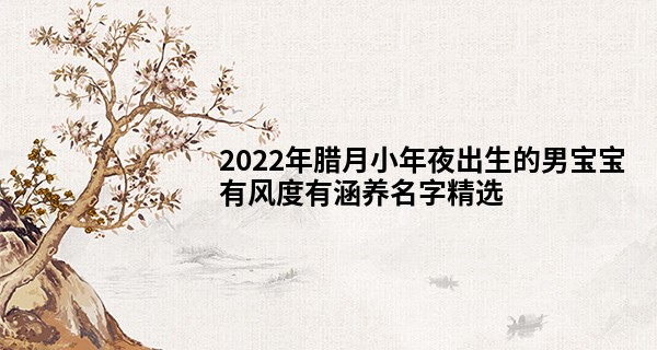 2022年腊月小年夜出生的男宝宝有风度有涵养名字精选