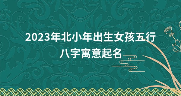 2023年北小年出生女孩五行八字寓意起名